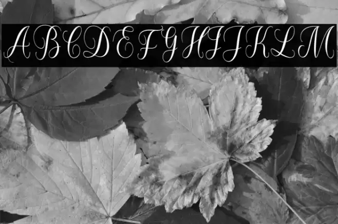 forlove Font examples