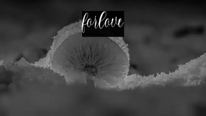 forlove Font examples