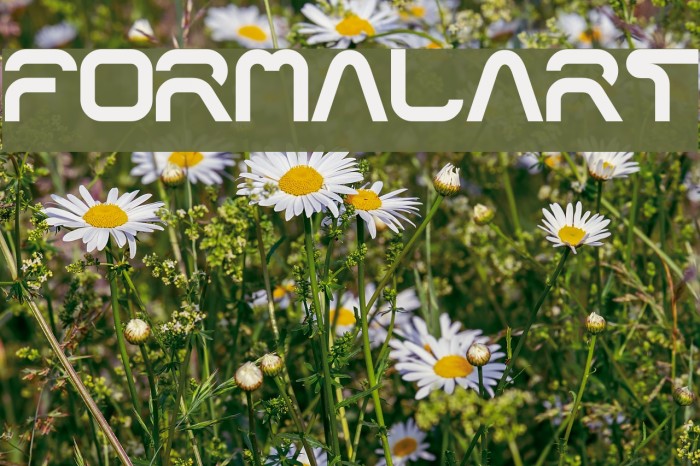 formalart Font examples