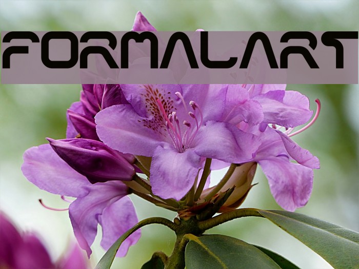 formalart फ़ॉन्ट examples