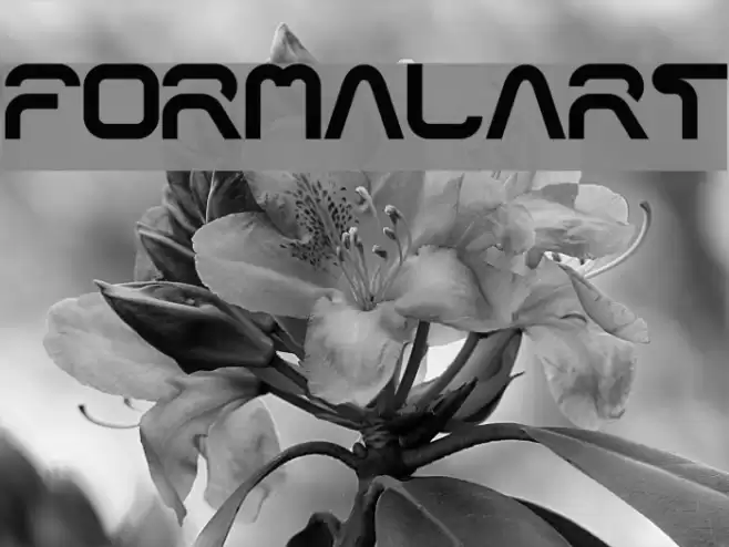 formalart Font examples