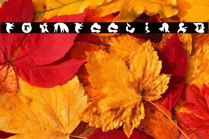 formfeelings Example 3