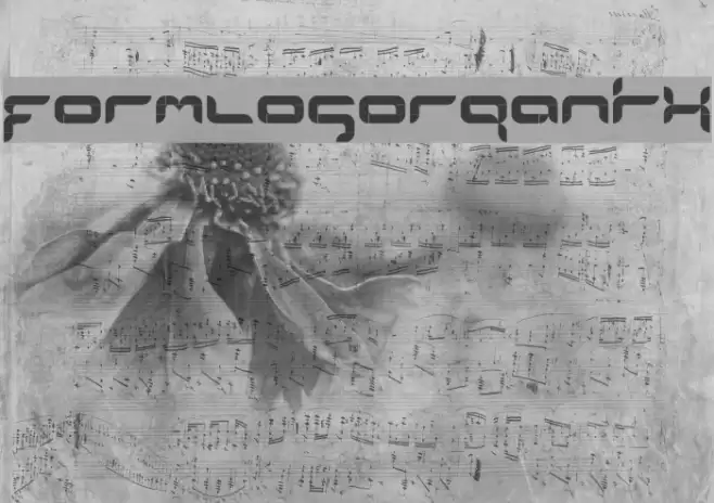 formlosOrganik Fuentes examples