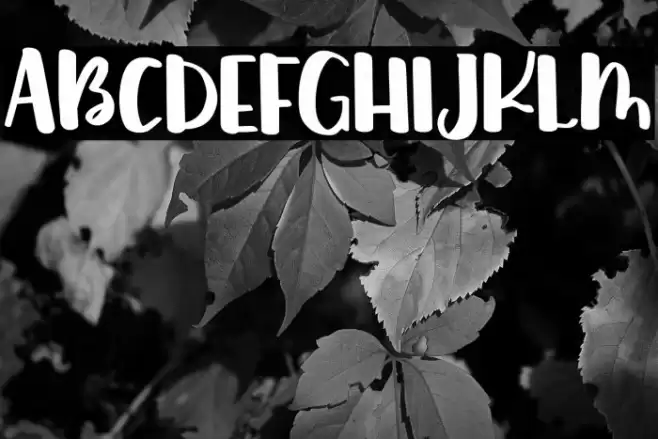 fostella demo Font examples