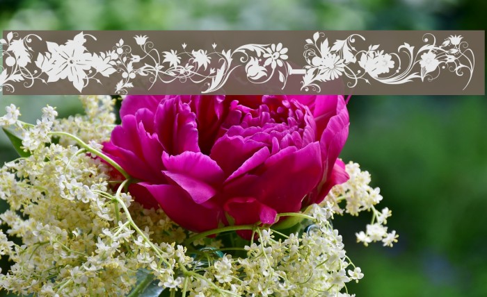 fotograami-flower Font examples