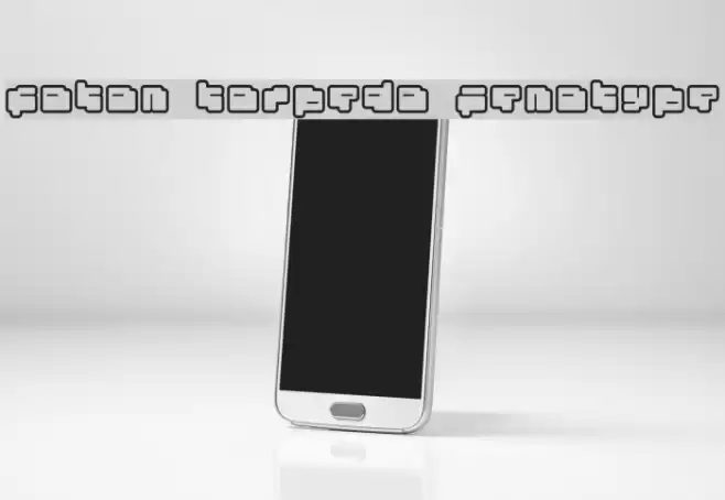 foton torpedo Fenotype Font examples