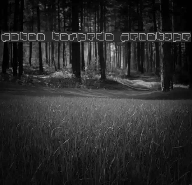 foton torpedo Fenotype Font examples