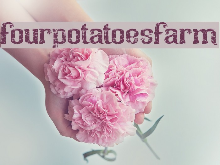 fourpotatoesfarm Font examples