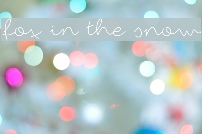 fox in the snow Font examples