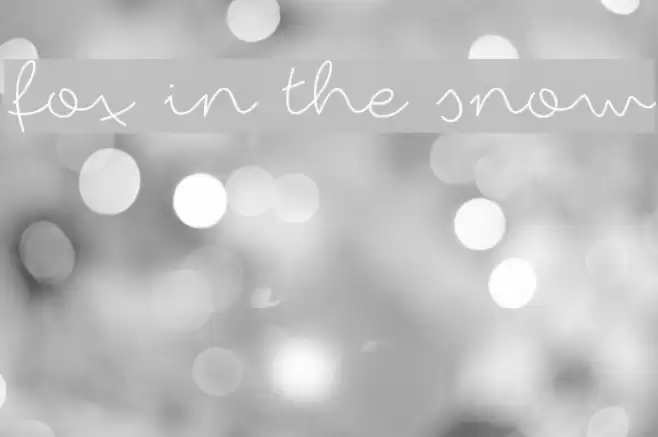 fox in the snow Schriftart examples