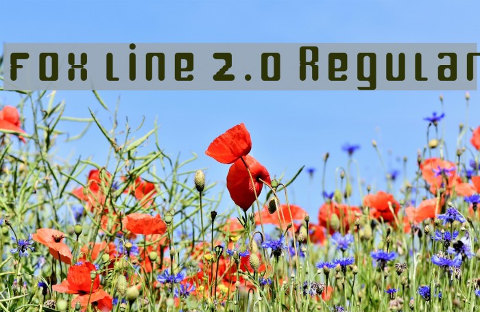 fox line 2.0 Regular Font examples