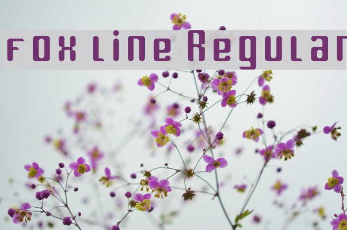 fox line Regular Font examples
