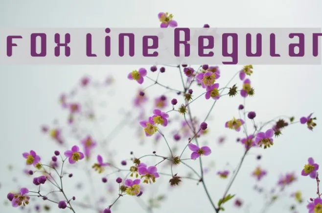 fox line Regular Example 1
