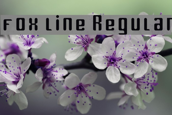 fox line Regular Font examples