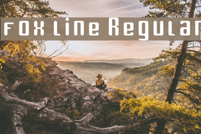 fox line Regular Font examples