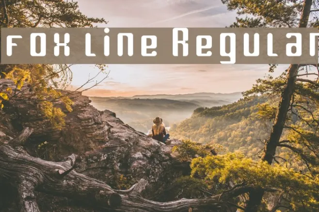 fox line Regular Example 3