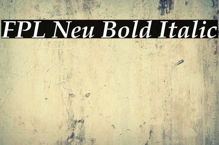 FPL Neu Bold Italic Example 1