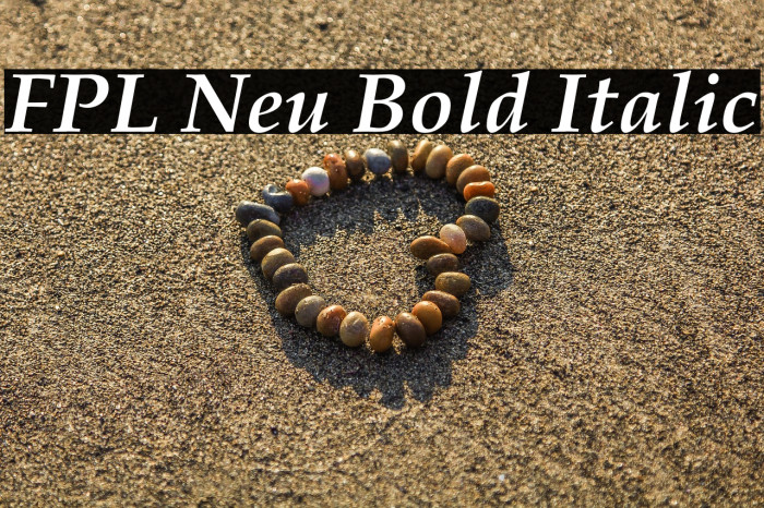 FPL Neu Bold Italic Example 2