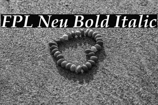 FPL Neu Bold Italic Font examples