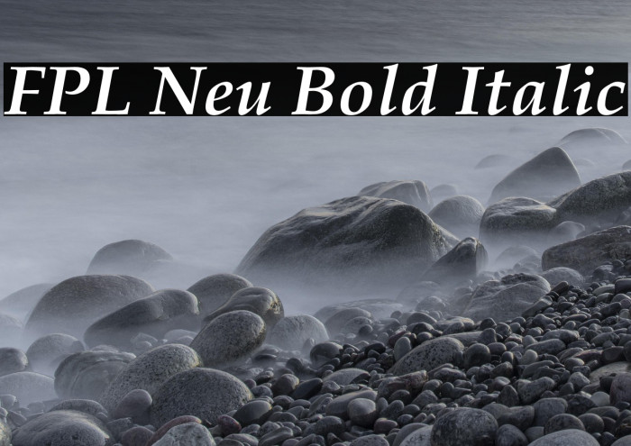 FPL Neu Bold Italic Example 3
