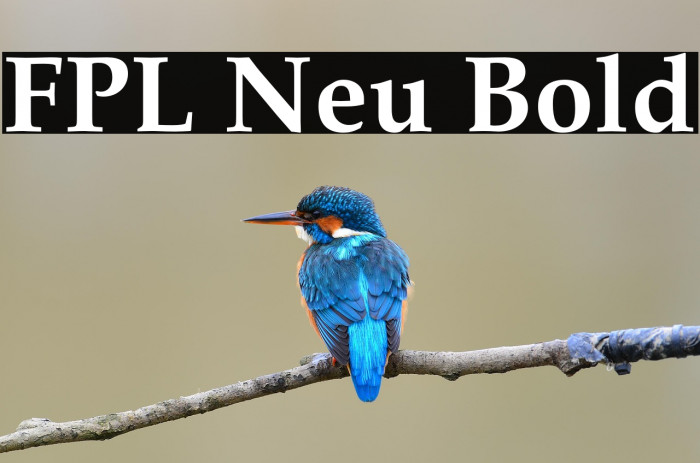 FPL Neu Bold Example 1