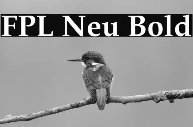 FPL Neu Bold Fonte examples