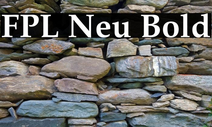 FPL Neu Bold Example 2