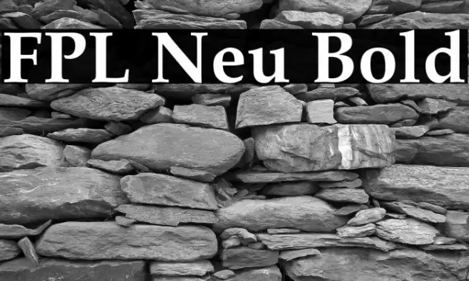 FPL Neu Bold Fonte examples