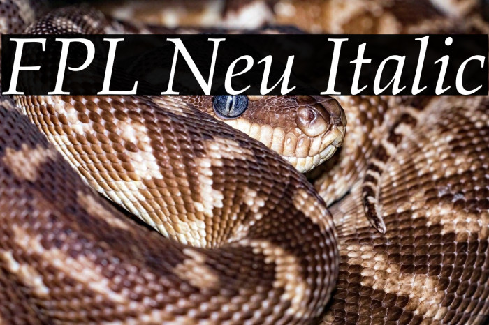 FPL Neu Italic Example 1