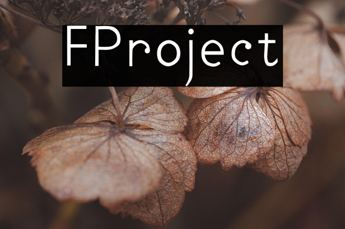 FProject Example 3