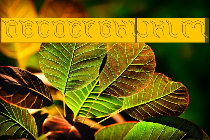 FRANKENSTEIN MONSTER-Hollow-Inv Example 3