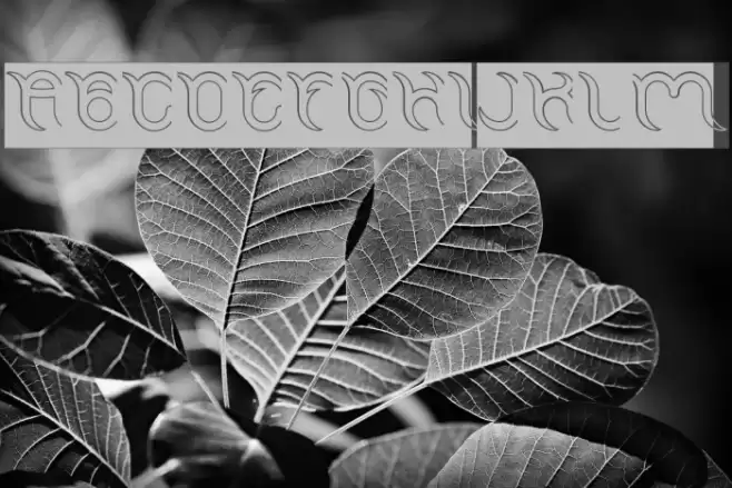 FRANKENSTEIN MONSTER-Hollow-Inv Font examples