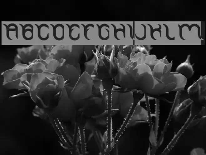 FRANKENSTEIN MONSTER-Inverse Font examples