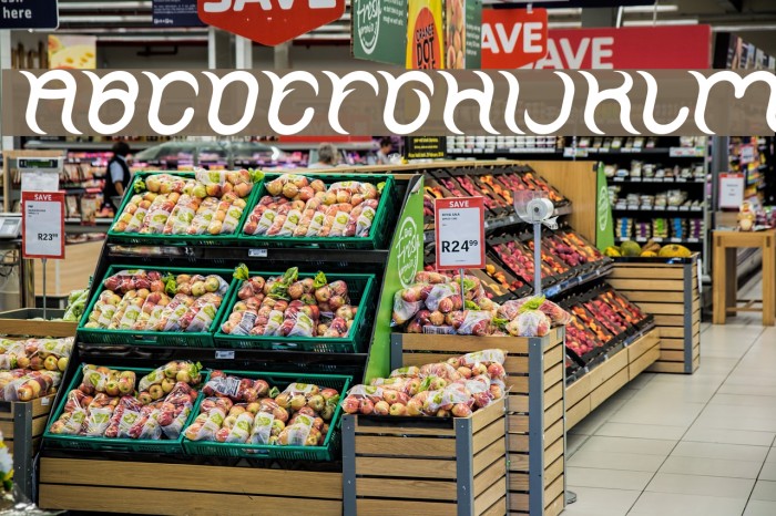 FRANKENSTEIN MONSTER Italic Example 2