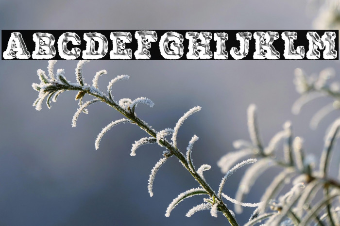 FREAK PERSONAL USE Example 1