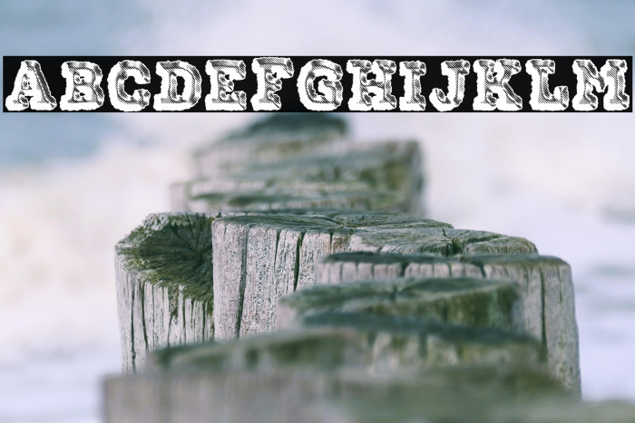 FREAK PERSONAL USE Example 3