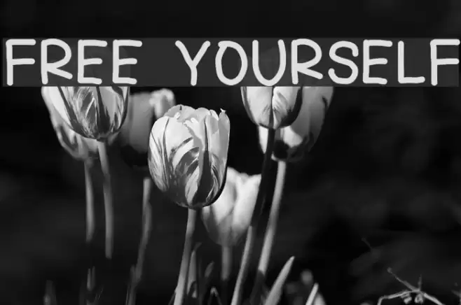 FREE YOURSELF Font examples