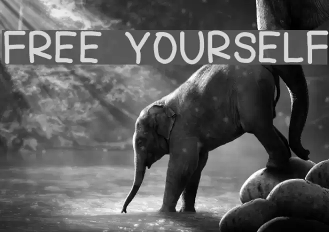 FREE YOURSELF Font examples