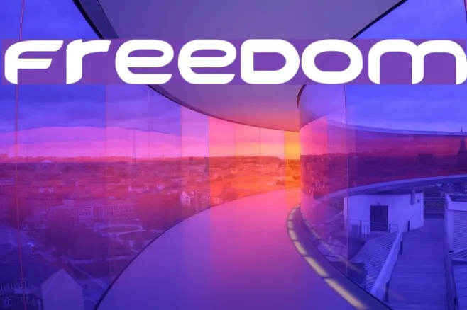 FREEDOM Example 2