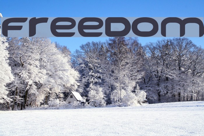 FREEDOM Font examples