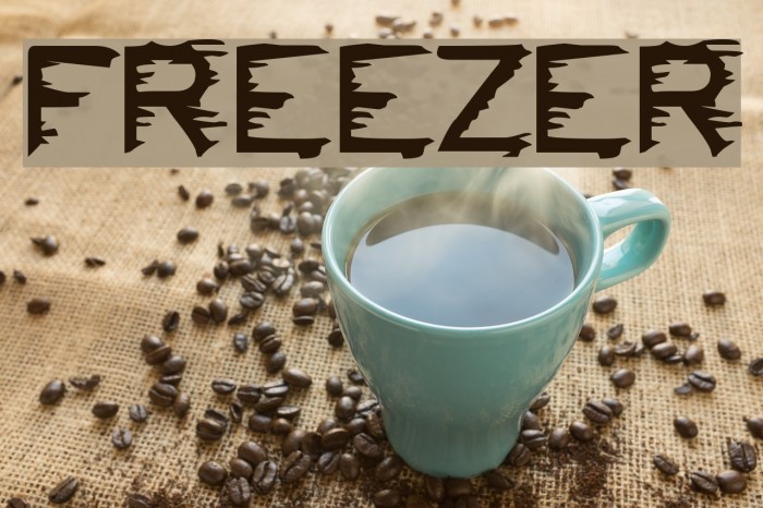 FREEZER Font examples