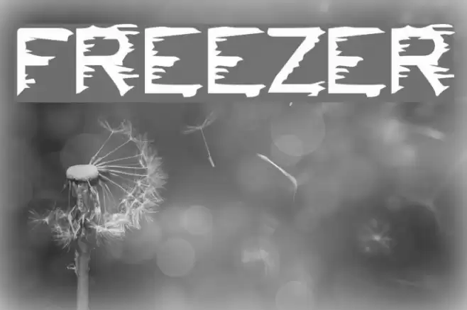 FREEZER Font examples