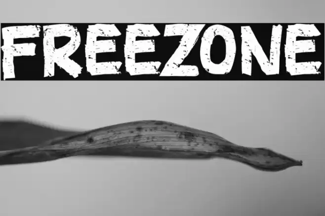 FREEZONE Font examples