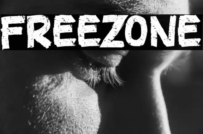 FREEZONE Font examples