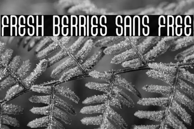 FRESH BERRIES SANS FREE Font examples