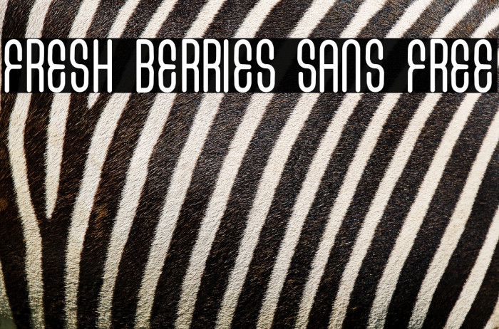 FRESH BERRIES SANS FREE Example 2