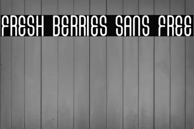 FRESH BERRIES SANS FREE Font examples