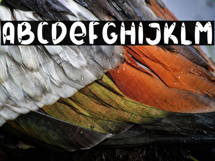 FRESH DRINK Example 2