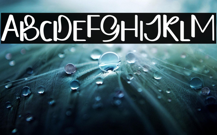 FRESH FOOD Example 1