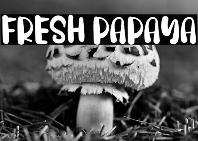 FRESH PAPAYA Font examples